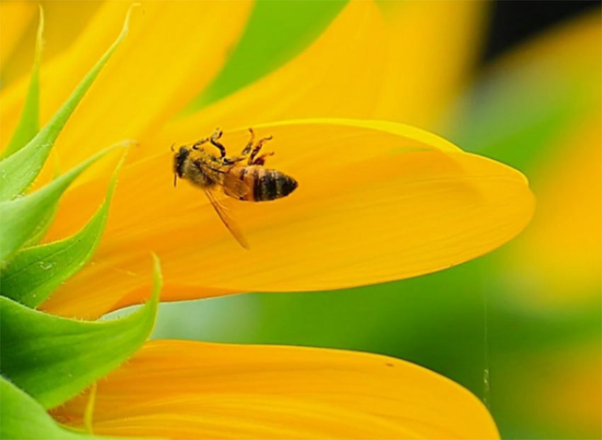 1648821359222457.jpg 摄影创作不需要旅行穿越山川